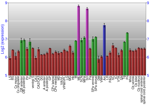 Multi-state expression graph