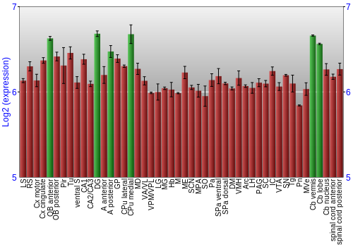Multi-state expression graph
