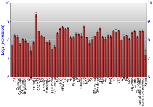 Expression graph