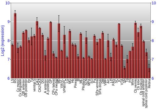 Expression graph