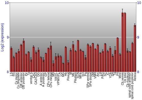 Expression graph
