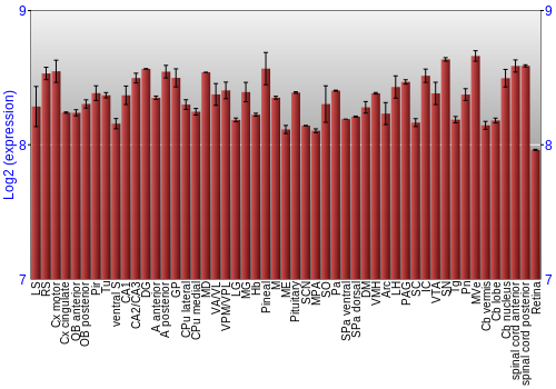 Expression graph