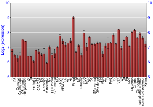 Expression graph