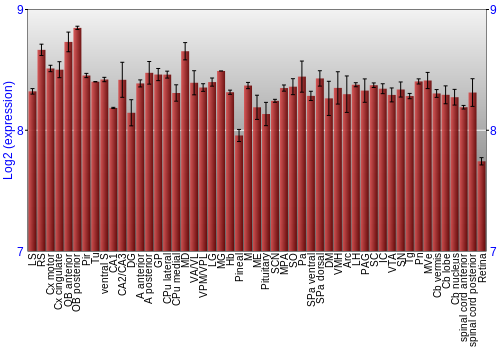 Expression graph