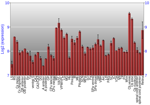 Expression graph