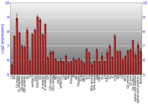 Expression graph
