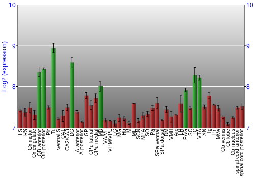 Multi-state expression graph