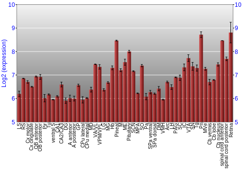Expression graph