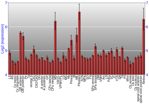 Expression graph