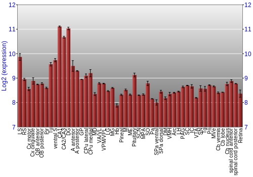 Expression graph