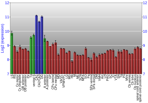 Multi-state expression graph