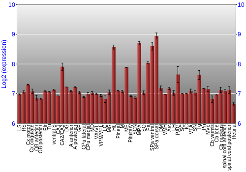Expression graph