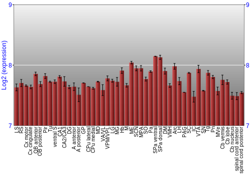 Multi-state expression graph