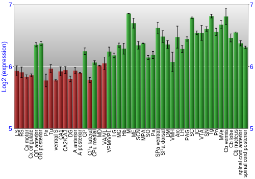 Multi-state expression graph