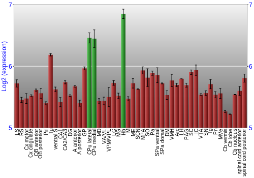 Multi-state expression graph