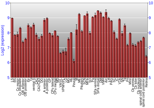 Expression graph