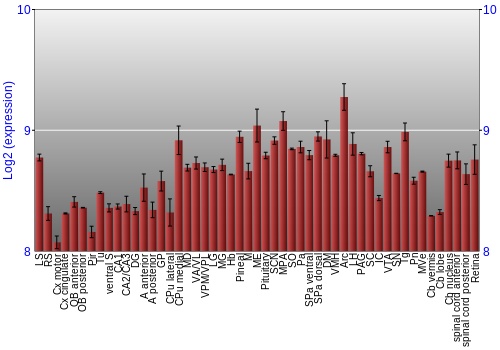 Expression graph