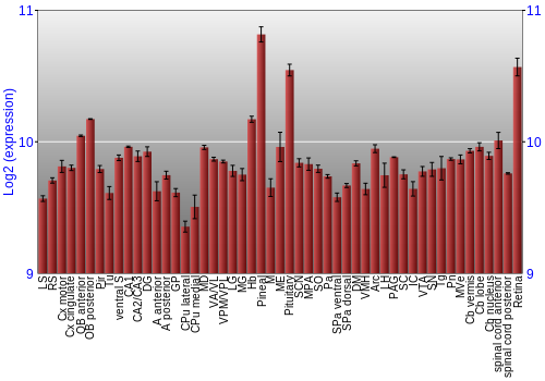 Expression graph