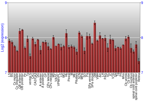 Expression graph