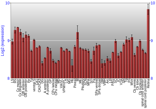 Expression graph