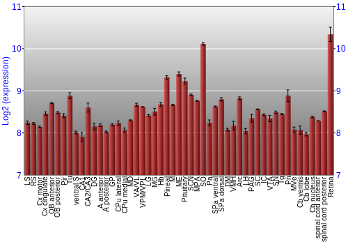 Expression graph