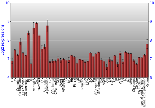 Expression graph