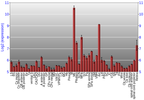 Expression graph