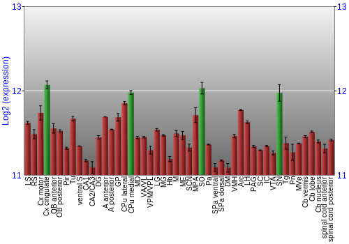 Multi-state expression graph