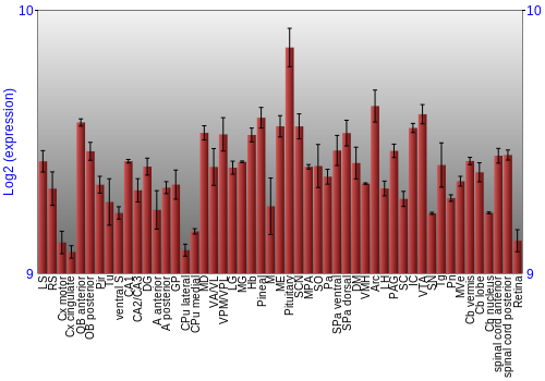Expression graph