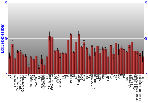Expression graph