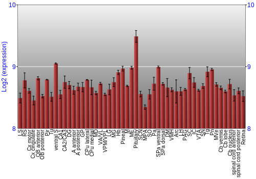 Expression graph