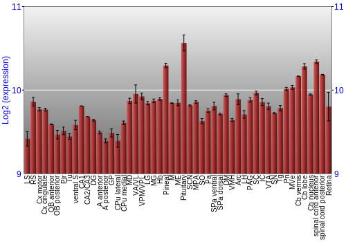Expression graph