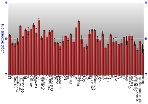 Expression graph
