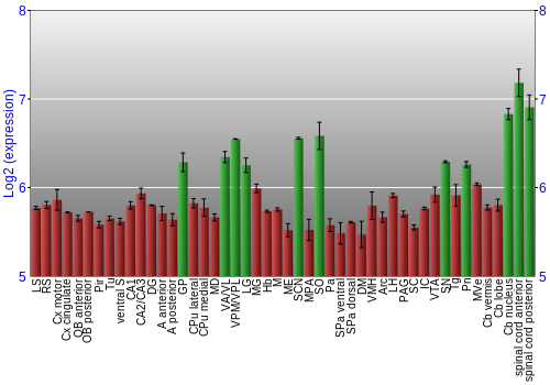 Multi-state expression graph