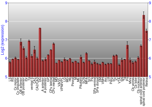 Expression graph