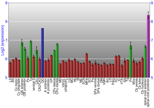 Multi-state expression graph