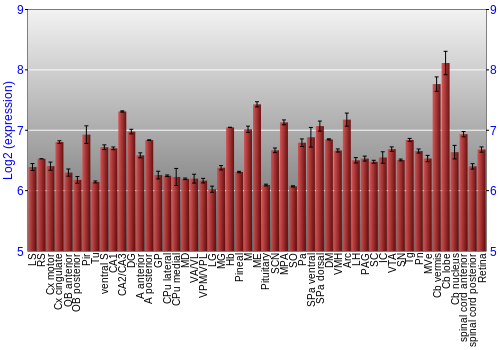 Expression graph