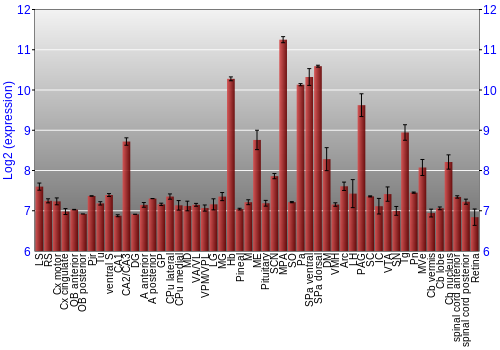 Expression graph