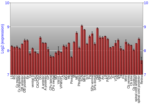 Expression graph
