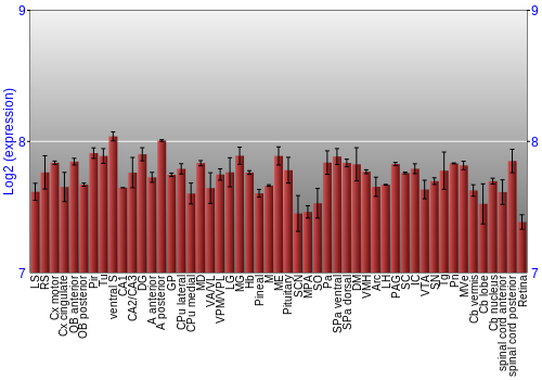 Expression graph
