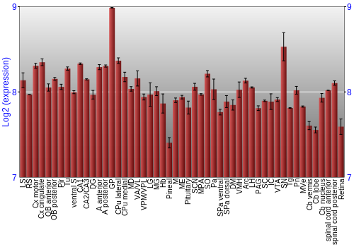 Expression graph