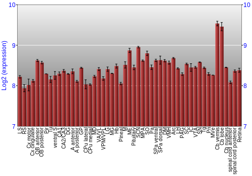 Expression graph