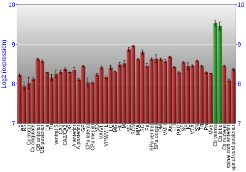 Multi-state expression graph