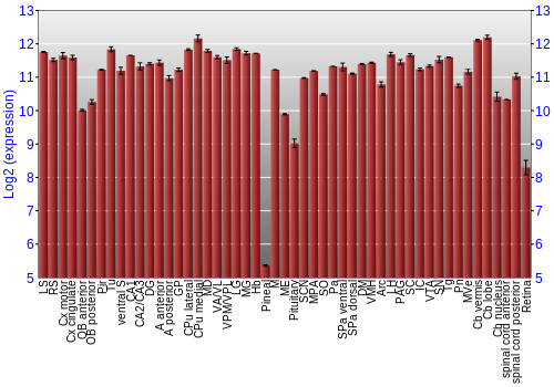Expression graph