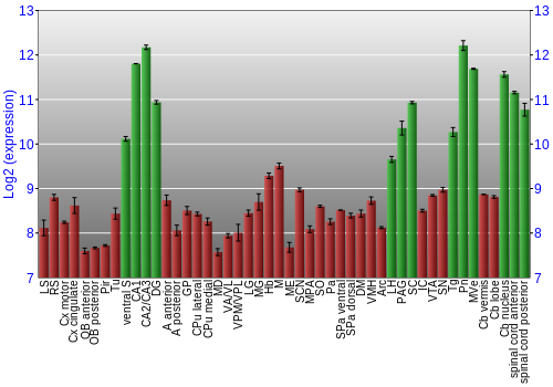 Multi-state expression graph