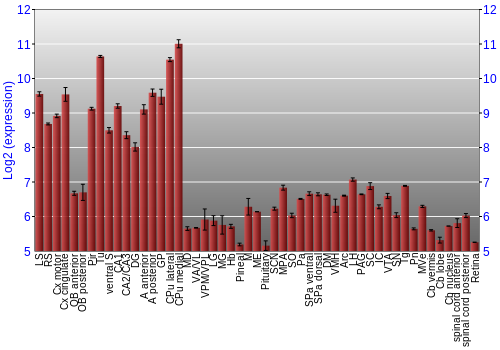 Expression graph