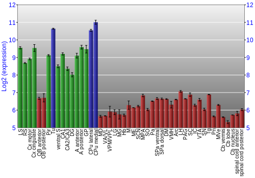 Multi-state expression graph