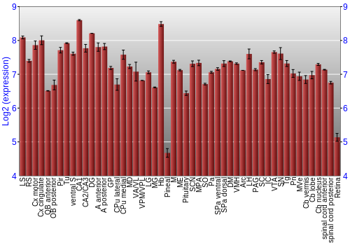 Expression graph