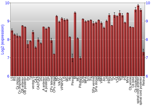 Expression graph