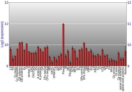Expression graph